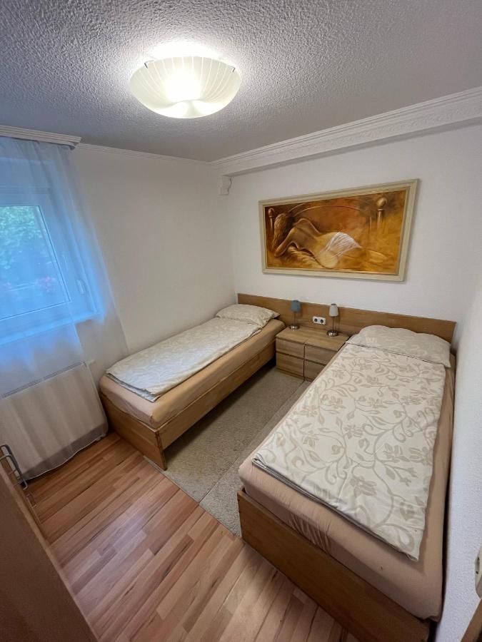Ruhige Geraeumige Wohnung Пфорцхайм Экстерьер фото